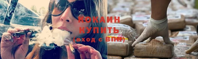 Cocaine Fish Scale  кракен как войти  Межгорье 